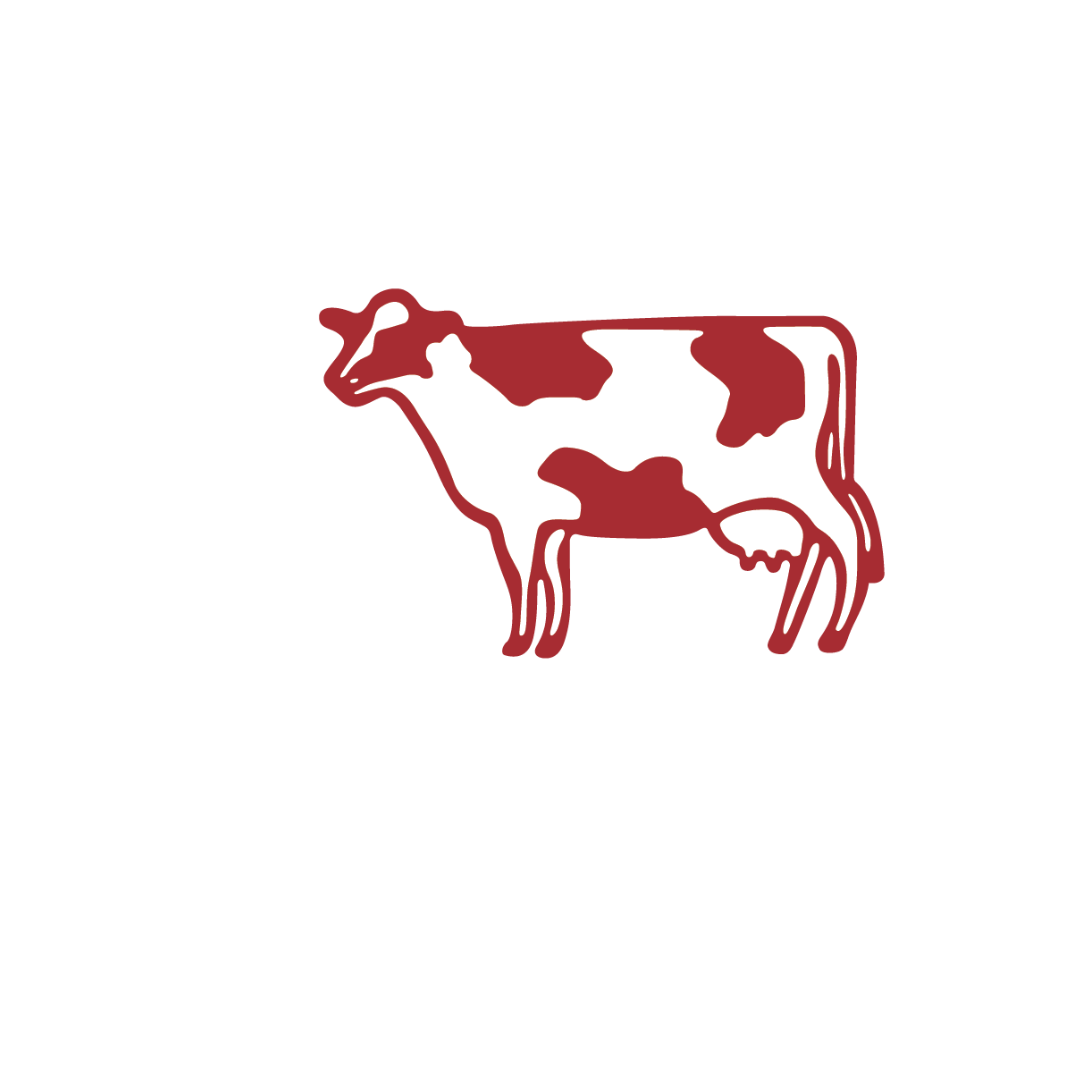 Shelaidah Dairy